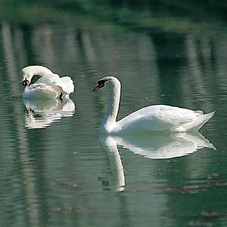 Cosy With Bubble Bath *