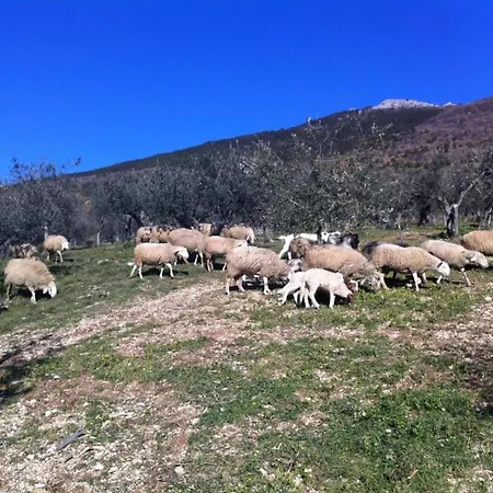 Сasa de vacaciones Cosy With Bubble Bath *