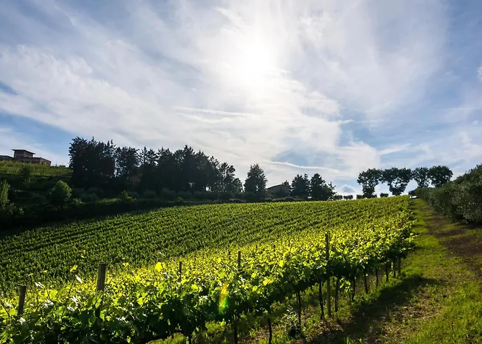 Cosy With Bubble Bath Perugia