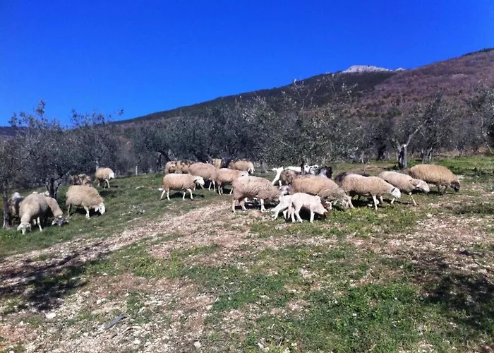 Dom wakacyjny Cosy With Bubble Bath *