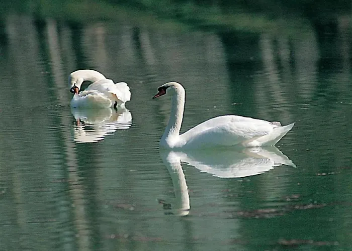 Cosy With Bubble Bath *